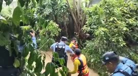 Honduras: Dog Rescued From Flooded Jungle As Honduras Teams Battle Rising Waters