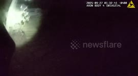 US: Deer Leaps At Officer During Suspect Search In Dark Sandy Springs Woods