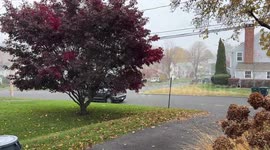 Snowfall blankets streets and rooftops in Fairfield, Connecticut