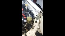 Kitten stuck in car engine rescued