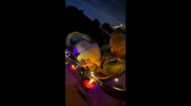 Puppy and child enjoy Halloween stroller ride in Lafayette, Louisiana, USA