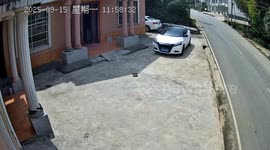 Dog watches sadly as car runs over its food bowl in Shandong, China