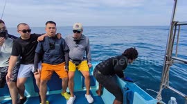 Malaysia: tourist Shocked as Crew Member Hands Over Giant Sailfish for a Photo