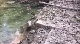 Lebanon: Lebanon Accuses Israel Of Environmental Sabotage