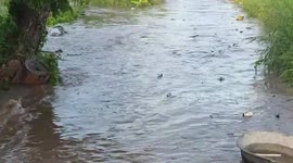 Flood barrier collapse sends raging waters through central Thailand villages