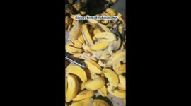 The best healthy food for now