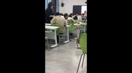 Adorable goose visits classroom in Guangxi, China
