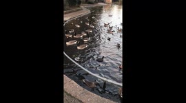 Evening View Cannon hill Park