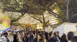 Tokyo welcomes winter with vibrant Tori no Ichi festival