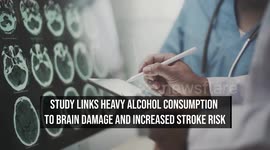 Study Links Heavy Alcohol Consumption To Brain Damage And Increased Stroke Risk