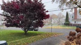 First Snowfall of the Season Arrives in Fairfield