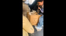 Boy trips while carrying puppy in Zhejiang, China