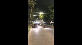 Practical Way To Exercise Multiple Dogs