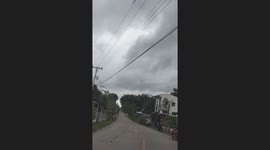 Huge bat swarm takes flight for afternoon feast