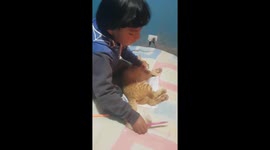 My Son Traced the Cat on My Bed