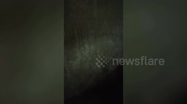 Stray kitten stuck in wall rescued by worried family