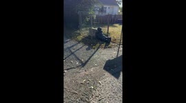 Halloween Decorations Taken Too Far?