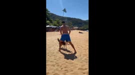 Man playing ball with dogs on the beach. Rio de Janeiro, Brazil, 12 November 2025