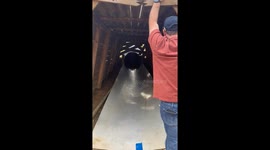 Boy throws pumpkin down slide in Cullman, Alabama, USA