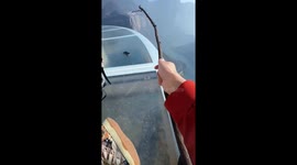 Phone accidentally drops from glass platform in Henan, China