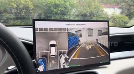 Cat hilariously trapped in narrow parking spot escapes in Shanxi, China