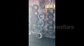 狗狗落水被困 主人自制吊台暖心营救