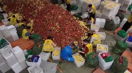 China: Exports from China's 'lemon capital' squeeze the competition