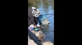 This Fish Just Wants Snacks, Not Hooks 