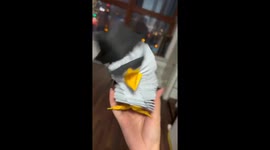 This Paper Penguin Has Better Moves Than You 