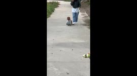 The Great Garden Escape