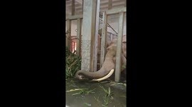 The Rejected Snack Rebellion