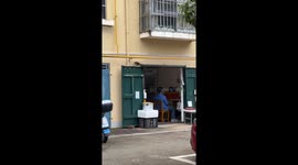 Sneaky Squirrel's Peanut Heist