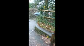 Storm Claudia's Fury: Trees Crush Cars & Block Roads in Macclesfield!