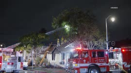 US, Los Angeles: Elysian Valley Firefighters Battle House Fire With Nearly-Naked Man Barricaded In Tree