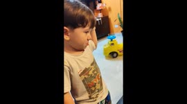 My Son and Cat Want the Same Toy