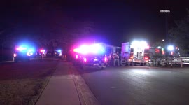 US, Phoenix: Mesa Officer Bitten By Dog While Arresting Suspect