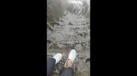 Audacious Monkey Assaults Hikers