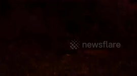 Russian forces target Ukrainian positions with BM-21 Grad rockets