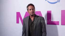 UNCAPTIONED: David Duchovny was 'shocked' by character's introduction in Malice