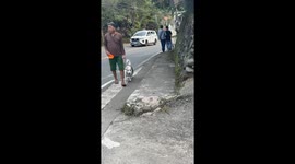 Eyebrow Dog Goes Trick-or-Treating