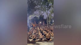 Men at Thai sacred tattoo ceremony restrained for violently shaking and shouting