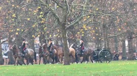 41-gun salute in London marks King Charles’ 77th birthday
