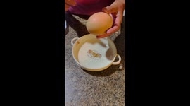 Family amazed to find an egg inside another larger egg
