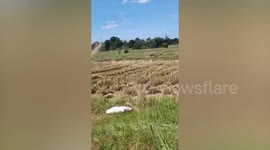 Campers run through field to catch tent being blown away