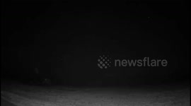 Zelenskyy announces use of long-range 'Neptune' missiles in strikes inside Russia