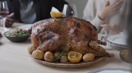 Friends Enjoy the Ultimate Thanksgiving Feast in 4K