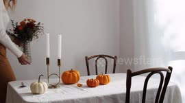 Thanksgiving Dinner Party With Friends in High-Quality 4K