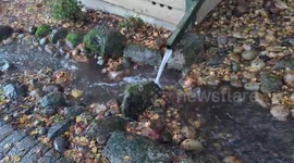 Unexpected creek flow amid rainfall in Santa Cruz Mountains, California, USA