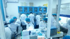 China: 4 mice carrying key experimental data return to Earth with Shenzhou-20 crew