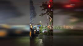 US, Los Angeles: Sawtelle Large Tree Falls On Bus And Cars